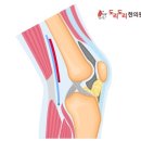 도리도리한의원 이미지