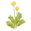 뮤트펜션 이미지