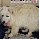 광터경로당 이미지