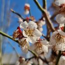 한양대APEX태권도 이미지