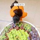 '롯데프리미엄 아울렛 의왕점' #이주화tv 이미지