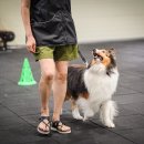 루카스독트레이닝 이미지