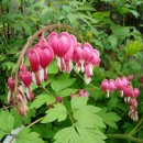 길섶한우 이미지