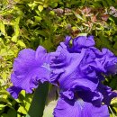 오월(5월) 이미지