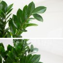 재화꽃집 이미지