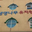 생명나무유치원 이미지