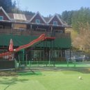 퍼니멍멍 장미애견펜션 이미지