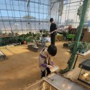 청결농장 | 아이들과 주말에 가볼만한 곳 추천 나눔농장 솔찍 후기