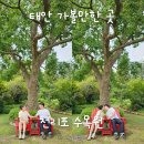 홀리샵 | 천리포수목원 주차 입장료 포함 평일방문 후기 Part 2 (feat. 남편과 추억여행)