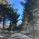 밤머리재약수터 | 지리산 뷰가 보이는 블랙야크명산100플러스 웅석봉 등산코스 및 주차정보
