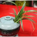 우리꽃집 이미지