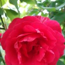 남악사지 이미지