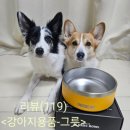 스타독스 | (강아지 그릇 추천)독스랩 강아지 밥그릇,물그릇 사용 찐 후기