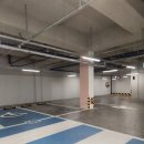 천안동물의료센터 24시 이미지