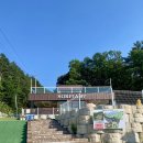 삼육사로32 | 서울근교 애견동반 동두천 캠핑장 대형견 애견카페 소르피아97 캠프닉 후기