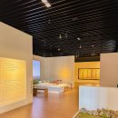 국립제주박물관 (천수동방면) | 제주도 장마 비오는날 여행 국립제주박물관 이건희컬렉션 전시