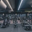 짐라이트 이미지