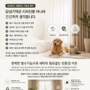 대전 도안동 수목토아파트 커튼 블라인드 시공 후기｜집의 분위기를 완성하는 감성 인테리어, 감성기억...