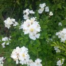 목골농장 이미지