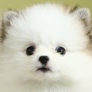 이연호농장 이미지