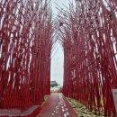 영월Y파크(술샘박물관) | 영월 젊은달Y파크 관람 후기