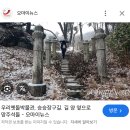 비플루피 | 벌써 10월 이래... 무서움에 힘 상실 ~