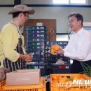 엄지마을 이미지