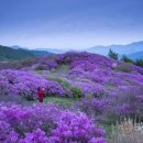 여기, 지리산 이미지