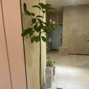 더희수뷰티스토리 (수내점)