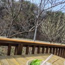 한붓꽃그림 이미지