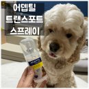 세바코리아 이미지