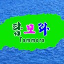 더해안368