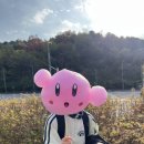 클라라음악교습소 네이버블로그