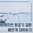 천재지변 비행기 결항, 대처법과 보상은?(+여행자 보험) 이미지