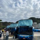 대만 타이베이 여행 코스 예스폭지 버스투어 (고고투어) 솔직후기 장단점