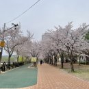 청주서부소방서(오송119안전센터)