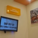 #53 비트포비아 홍대던전3 이미지세탁소 방탈출 후기 귀여워... 엉망진창 파충류