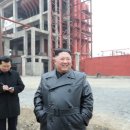 돼지건재종합 이미지