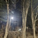 정일2호 | 26.02.09~26.03.08