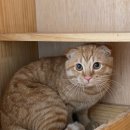 서원동주민센터 이미지