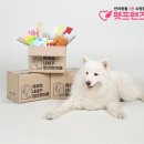 펫프렌즈 이미지