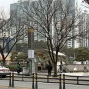 봄봄 용산점 | 용산역 카페 봄봄 신메뉴 추천! 상큼함 폭발 ‘감귤유자 스무디’ 솔직 후기 🍊💛
