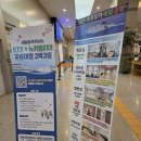 호약국 | 뉴 카멜리아호 1등실 4인실 내돈내산 꼼꼼 후기 의자옮기는법 그리고 최적의꿀팁