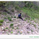 가인농장 이미지