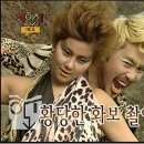 솔비헤어라인