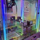 뽑기맨 | 체인소맨 피규어 뽑기 더 플레이