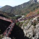 거창 항노화 힐링랜드 이미지