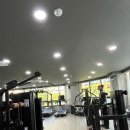 피지컬055GYM