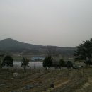 금수봉농장 Daum카페