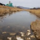 백천식당